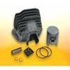 Groupe thermique cylindre culasse piston kit MALOSSI 100 PEUG