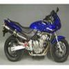 Silencieux ALU HOMOLOGUE HON HORNET 600 98 02HONDA HORNET 600 98
