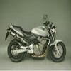 Silencieux ALU HOMOLOGUE HON HORNET 600 03 05REF 73644 A1