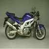 Silencieux TIT HOMOLOGUE SUZ SV 650 2003 04 SUZUKI SV 650 2003