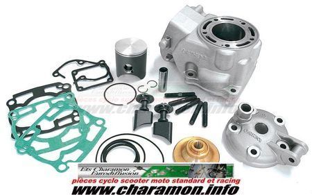 KIT Groupe thermique CYLINDRE piston KX125 2003 > 05 , cage re - Image 1