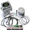 KIT CYLINDRE PISTON POUR RM Z450