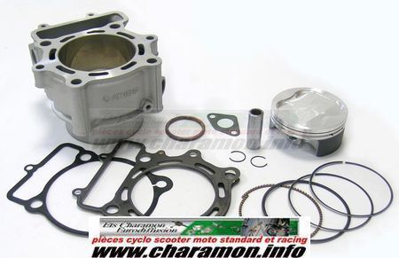 KIT CYLINDRE PISTON 300CC POUR TC TE250 - Image 1