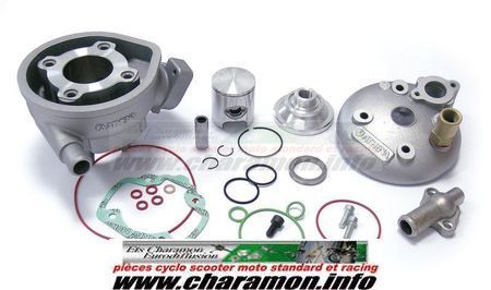 KIT CYLINDRE PISTON ATHENA POUR PEUGEOT 50 BUXY SQUAB TKR ZENITH SP - Image 1