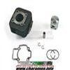 KIT CYLINDRE PISTON DR POUR PIAGGIO AIR TYPHOON LIBERTY VESPA ET2