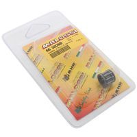 CAGE A AIGUILLES DE PISTON Malossi POUR BOOSTER NITRO F12 SR50 10X