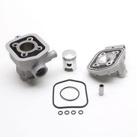 HAUT MOTEUR CYCLO P2R ALU NIKASIL POUR 51 LIQUIDE