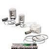 KIT 2 PISTONS FORGES POUR GT500 70MM