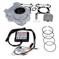 CYLINDRE MAXISCOOT Malossi POUR YAMAHA 125 X MAX
