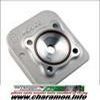 CULASSE DOPPLER S1R F adaptable BOOSTER BW'S POUR CYLINDRE FONTE ET