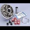 Variat POLINI Speed Control HONDA Foresight 25098 99 , PIAGGIO