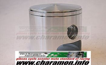 PISTON POUR ROTAX 250 73MM - Image 1