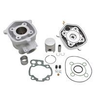 HAUT MOTEUR 50 A BOITE Malossi MHR SPORT ALU POUR AM6
