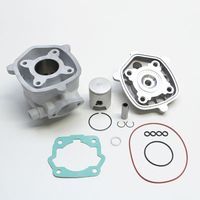 HAUT MOTEUR 50 A BOITE Malossi MHR SPORT ALU POUR DERBI SENDA GPR GS