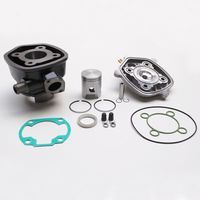HAUT MOTEUR SCOOT Malossi FONTE POUR NITRO AEROX F12 SR50LC
