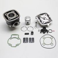 HAUT MOTEUR SCOOT Malossi FONTE POUR NRG RUNNER DNA