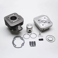 HAUT MOTEUR SCOOT Malossi FONTE POUR TREKKER VIVACITY SPEEDFIGHT AIR
