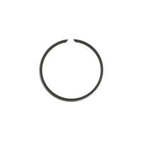 SEGMENT 50 A BOITE Malossi POUR DERBI SENDA GPR 39 88 x 1mm x1 S