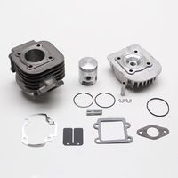HAUT MOTEUR SCOOT Polini FONTE POUR BOOSTER STUNT NG