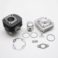 HAUT MOTEUR SCOOT Polini FONTE POUR OVETTO SR50 CPI F10 BIG MAX