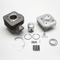 HAUT MOTEUR SCOOT Polini FONTE POUR TREKKER BUXY VIVACITYCITY
