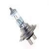 AMPOULES H7 NIGHT BREAK