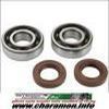 ROULEMENT VILO , Joints SPI adaptable SENDA GPR KIT NTN