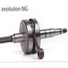 EMBIELLAGE vilebrequin AM6 d12 EVOLUTION