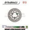 DISQUE DE FREIN FIXE AVANT GAUCHE WILD 250 300 450 02 03