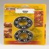 KIT ROULEMENTS ET SPYS DE VILEBREQUIN POUR YFM250R 08 09