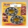 KIT ROULEMENTS ET SPYS DE VILEBREQUIN POUR YFM660R 01 05
