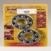 KIT ROULEMENTS ET SPYS DE VILEBREQUIN POUR TRX400E 99 08