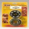 KIT ROULEMENTS ET SPYS DE VILEBREQUIN POUR RMX250 95 98