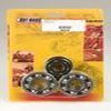 KIT ROULEMENTS ET SPYS DE VILEBREQUIN POUR yz 125 01 04