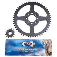 KIT CHAINE AFAM POUR X.LIMIT 1997 > 2002 420 12x52 DEMULTIP