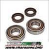 ROULEMENT VILO , Joints SPI adaptable SENDA GPR KIT FAG RENFORCE CELE