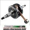 EMBIELLAGE vilebrequin TOP PERF adaptable DERBI 6V