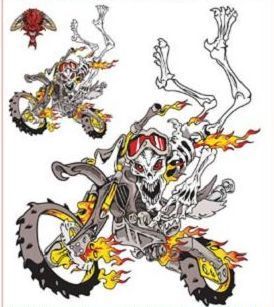 STICKER SKELETOR EN MOTO 9x9cm - Image 1