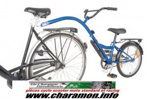 Troisième Roue Trailer Bike 20 pouce couleur argent ou bleu 28cm - Image 1