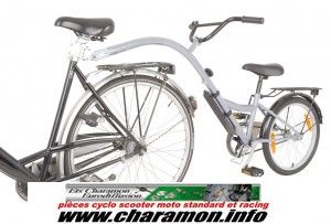 Troisième Roue Trailer Bike 20 pouce couleur argent ou bleu 28cm - Image 2
