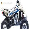 KIT Déco DREAM GRAPHICS BLANC POUR SUZUKI LT R450 06 08