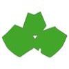 FONDS PLAQUE BETA RR 10 VERT