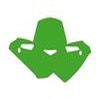 FONDS PLAQUE HVA WR125 09 10 VERT