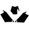 FONDS PLAQUE GASGAS FSR 250 10 NOIR