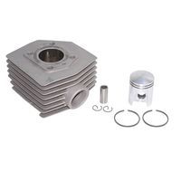 CYLINDRE CYCLO P2R POUR 51 AIR ALU NIKASIL