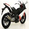 Pot d'échappement silencieux Arrow GPR 125 4T 4V 2010 2011 vehicle