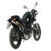 silencieux MIVV DUCATI MONSTER 695 06 version CARBONE HOMOLOGATION E