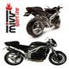 silencieux MIVV TRIUMPH SPEED TRIPLE 955 02 04 version CARBONE HOMO
