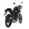silencieux MIVV DUCATI MONSTER 695 06 version CARBONE HOMOLOGATION E