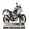 Pot d'échappement Silencieux MIVV Speed Edge pour Honda 1200 Crossto